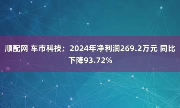 顺配网 车市科技：2024年净利润269.2万元 同比下降93.72%
