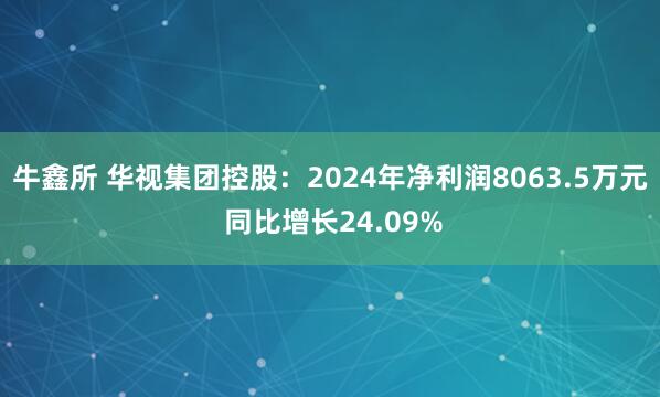 牛鑫所 华视集团控股：2024年净利润8063.5万元 同比增长24.09%