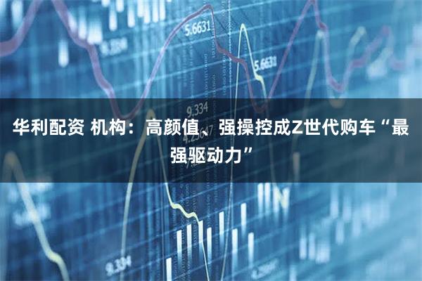 华利配资 机构：高颜值、强操控成Z世代购车“最强驱动力”
